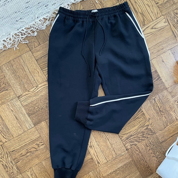 Aritzia Joggers - Picture 1 of 4